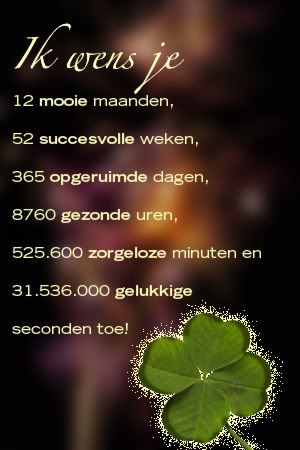 080925_silvester_nl.jpg picture by femia1964