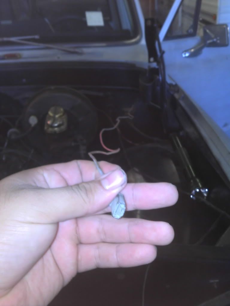 Are my wires on right ? - The 1947 - Present Chevrolet & GMC Truck