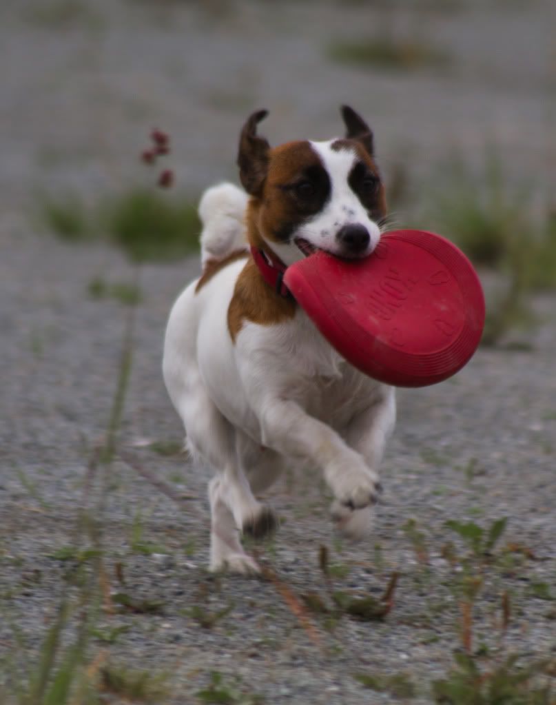 IMAGE: http://i275.photobucket.com/albums/jj298/Kawa-Rimol/IMG_3091.jpg