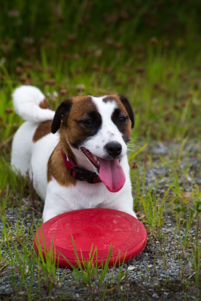 IMAGE: http://i275.photobucket.com/albums/jj298/Kawa-Rimol/IMG_3113.jpg