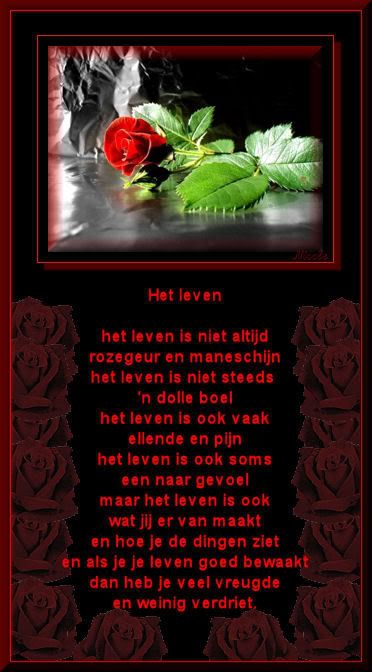 hetleven.jpg het leven picture by grempjes
