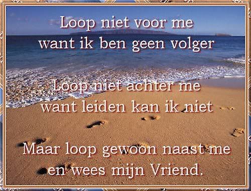 untitled.jpg strand loop image by grempjes