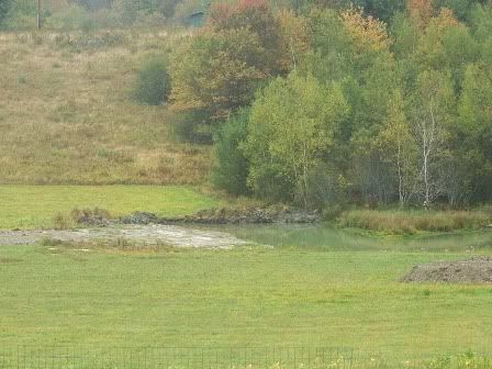 pond691807005.jpg