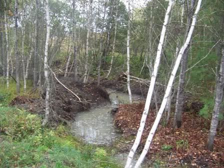 pond691807010.jpg