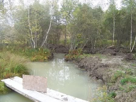 pond691807011.jpg