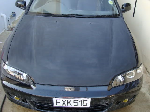 DSC01330.jpg