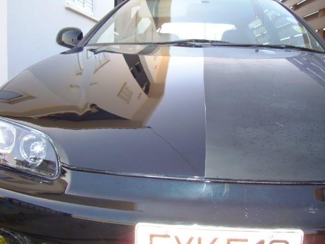 DSC01337.jpg