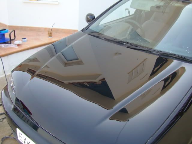 DSC01343.jpg