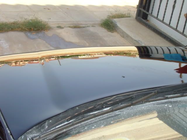 DSC01345.jpg