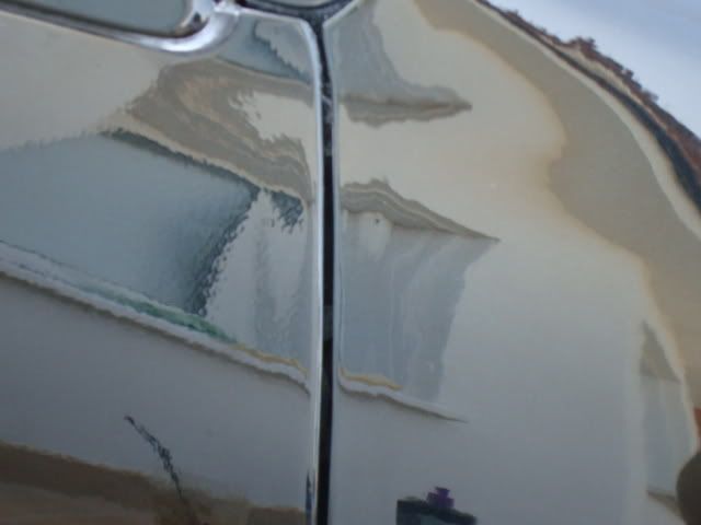 DSC01353.jpg