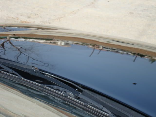 DSC01377.jpg