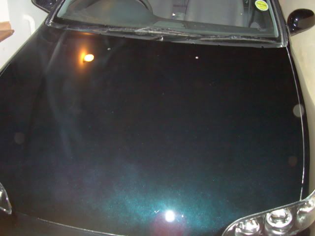 DSC01405.jpg