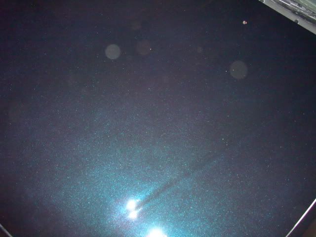 DSC01412.jpg