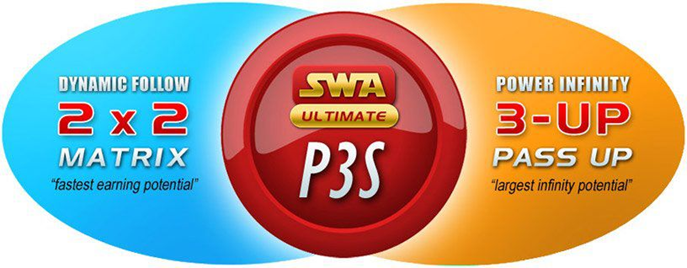 Reduced Size Image