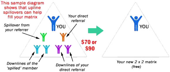 Matrix Explanation