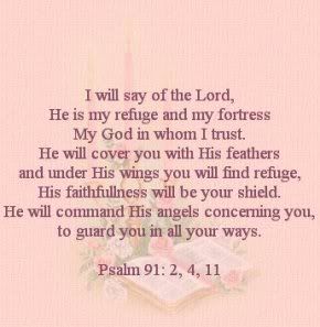 http://i275.photobucket.com/albums/jj304/rhon33999/scripturePsalm912411refuge.jpg