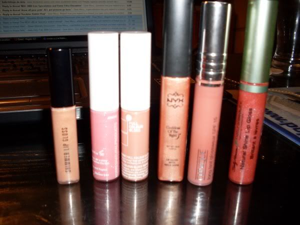 rachelsgift-glosses006.jpg