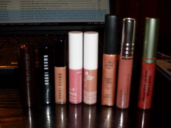 rachelsgift-glosses007.jpg