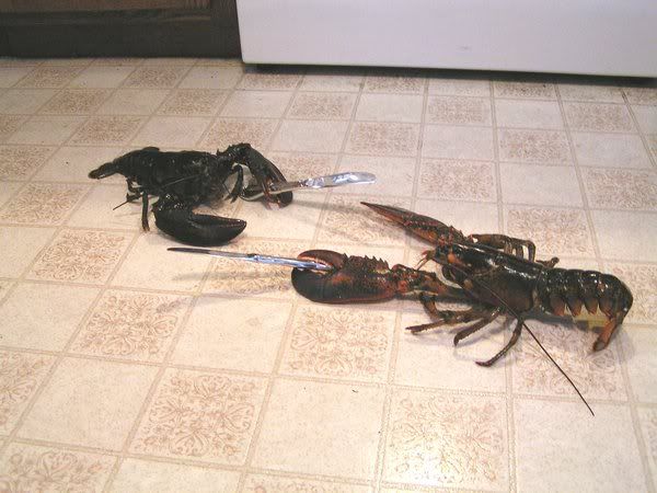 [Image: lobsters.jpg]