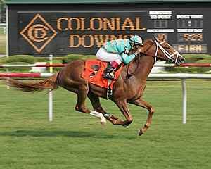 [Image: colonial-downs-horse-track.jpg]