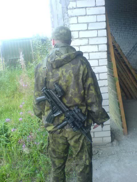 Pilt