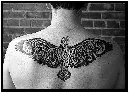 Picture A Men With The Best Celtic Tribal Tattoo Designs Gallery 2