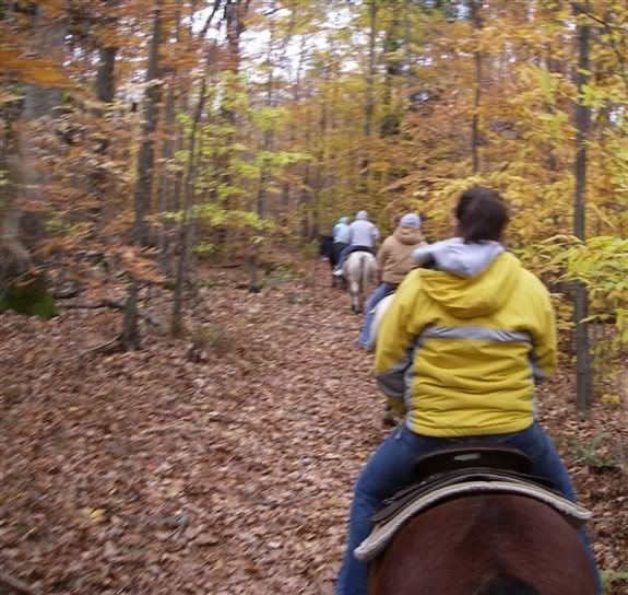 Horseback Riding Trip