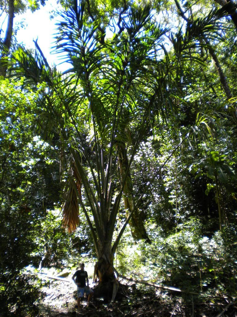Hawaii041.jpg