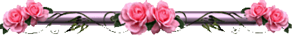 ROSE BORDER