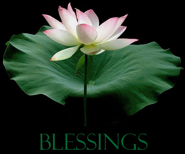 BLESSINGS FLOWER