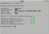 Pantallazo-xterm.png compiz image by malpy-molinillo