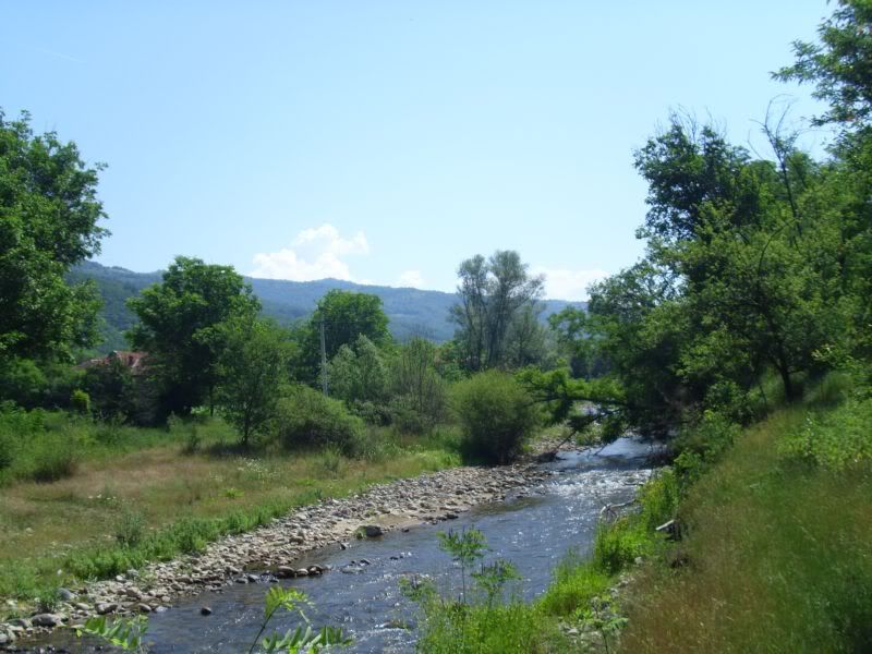 IMG_1928.jpg