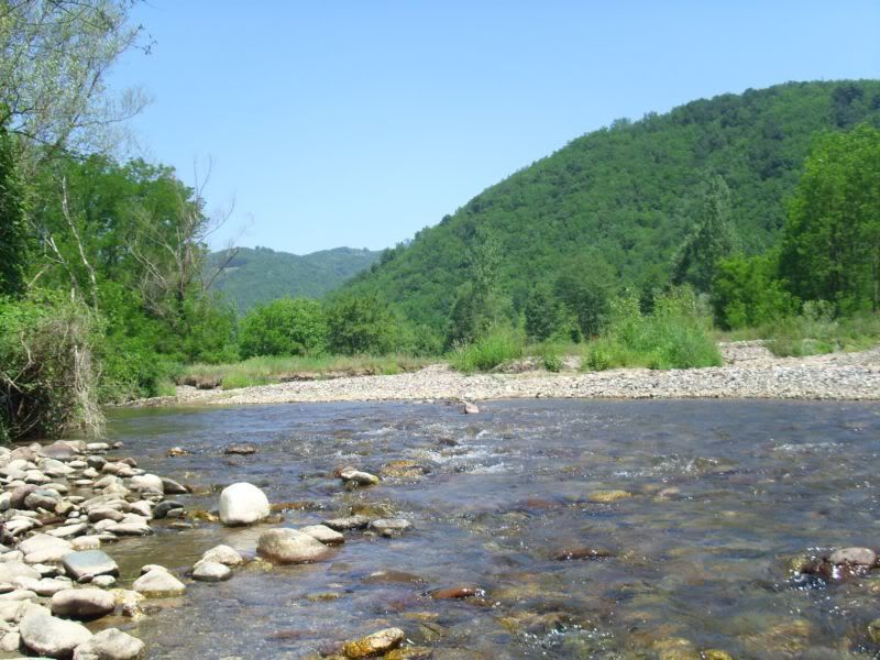 IMG_1947.jpg