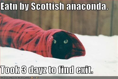 eatnbyscottish128485304222356355.jpg