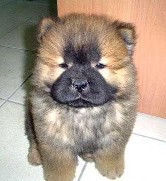 l_ee836d0ca6c7c04f23bd84975faf53f6.jpg image by squareofaninch