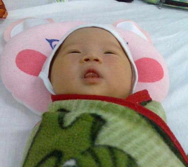 Image182.jpg 4 ngay tuoi picture by anvicoi