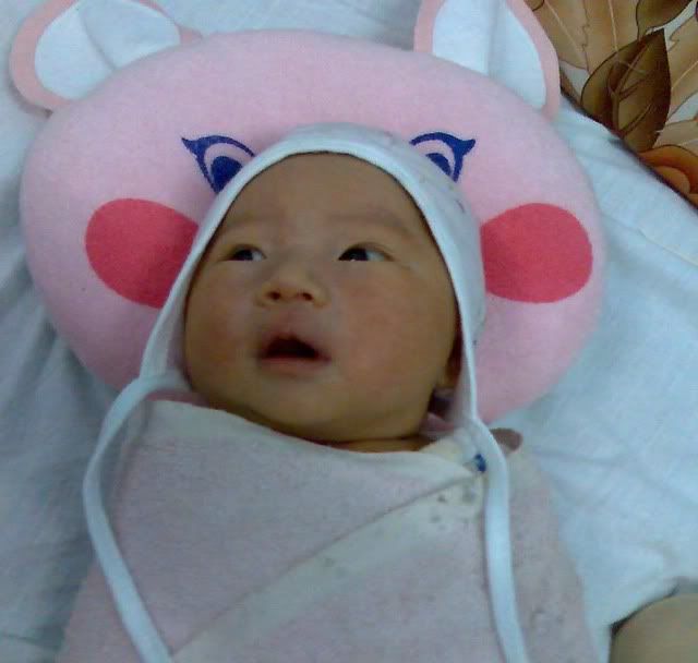 Image185.jpg 4 ngay tuoi picture by anvicoi