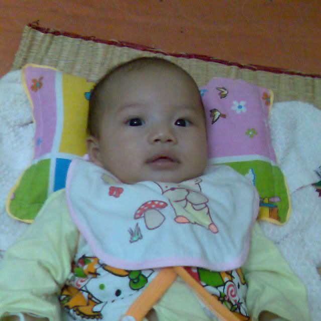 Image203.jpg 17.11.07 picture by anvicoi