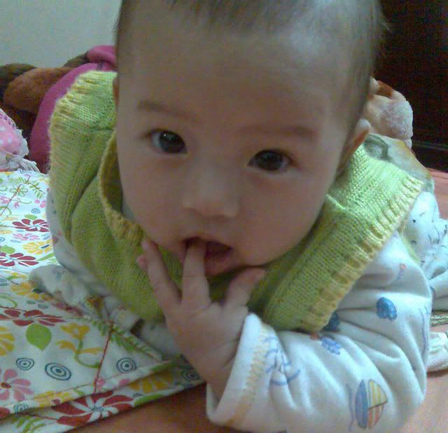 Image264.jpg 14.1.08 picture by anvicoi