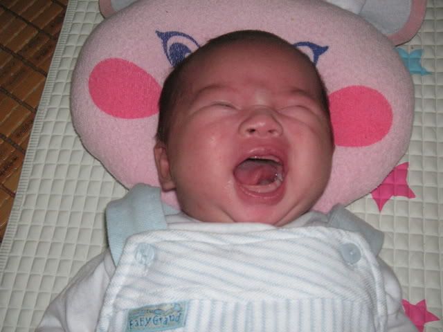 PICT0047.jpg picture by anvicoi