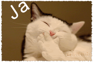 Jajacat.gif picture by Georgina_100