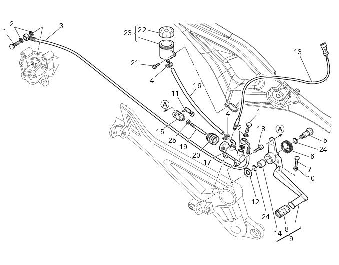 Diagram  Ducati Monster 900 Wiring Diagram Full Version