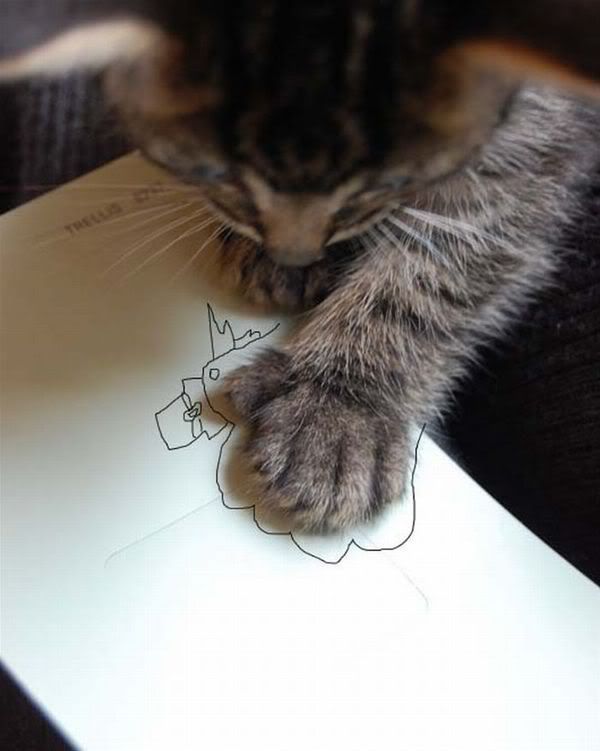 Cat_Drawing.jpg