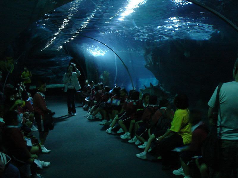 siam ocean world condition