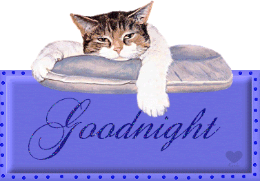 goodnightkitty.gif