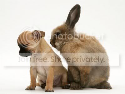 untitled10.jpg