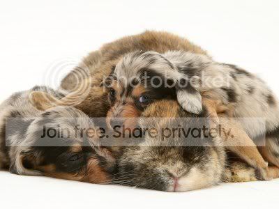 untitled16.jpg