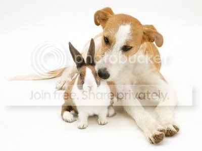 untitled17.jpg
