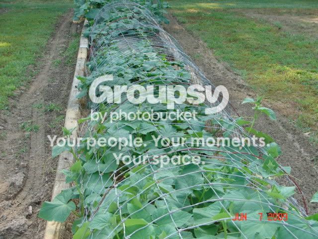 DSC02436.jpg