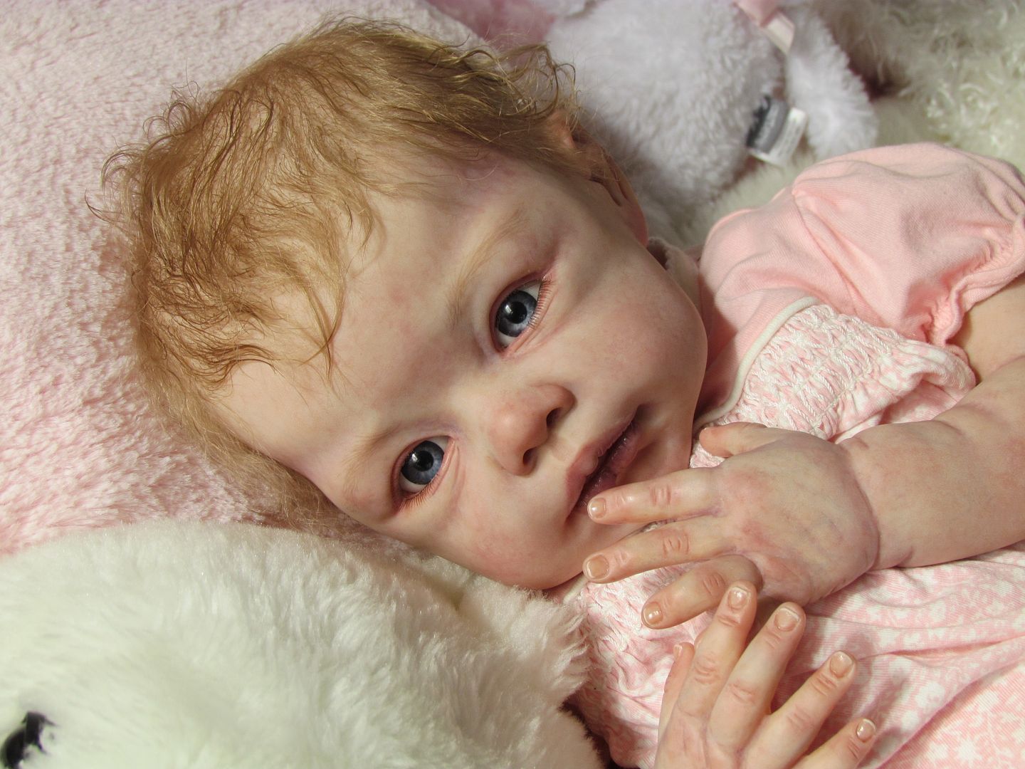 Romie Strydom Lila Reborn Baby Girl Sold Out Numbered Limited Edition